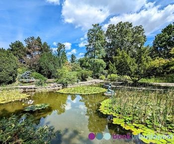 Japanischer Garten auf Margareteninsel