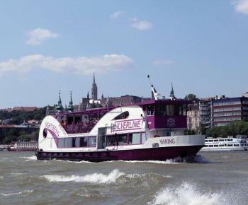 Budapest Bootsfahrt mit Pizza und unbegrenzt Bier