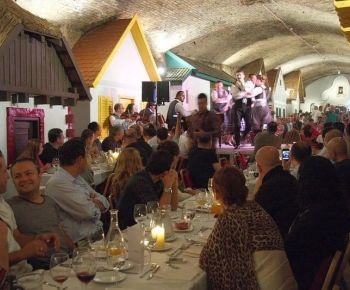 Privat Budapest Folklore Show mit Abendessen