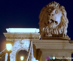 The stone lion of the Chain Bridge
