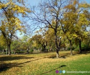 Orczy Park in autumn, Budapest