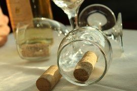 2-hours early evening Budapest wine cruise on the Danube