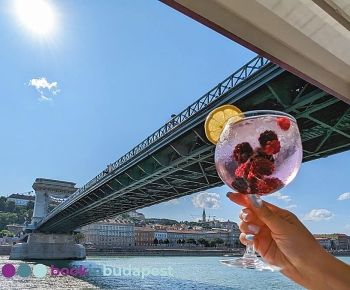Crucero con cóctel por el río Danubio en Budapest
