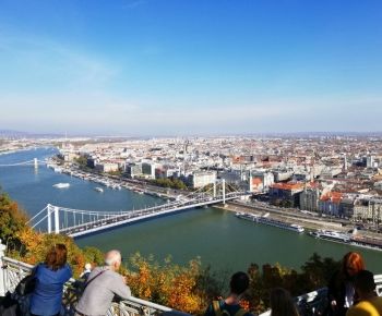 Estatua de la Libertad Budapest, Vista