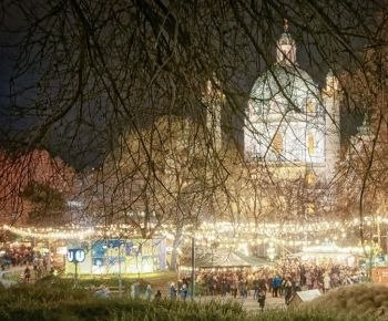 Visita del mercado de Navidad de Viena