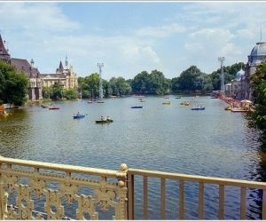 Patinoire et Lac à l'été