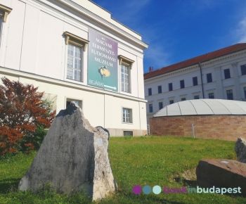 Magyar Természettudományi Múzeum, Természettudományi Múzeum Budapest