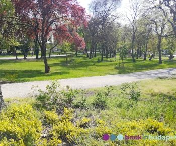 Orczy-park