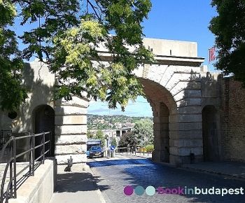 Porta di Vienna