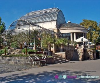 Zoo di Budapest, casa delle palme