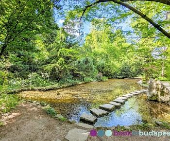 Ботанический сад Будапешт, Озеро