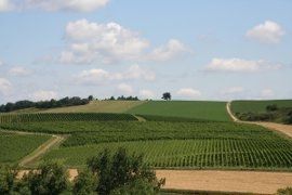 Этек винный тур - Вино регион Этек