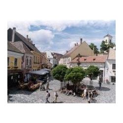 Szentendre - Visegrád Túra
