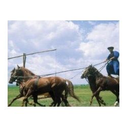 Puszta Tour