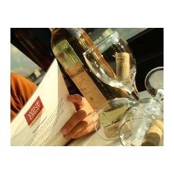 Wine tasting cruise in Budapest