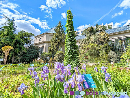 Университетский ботанический сад Будапешт