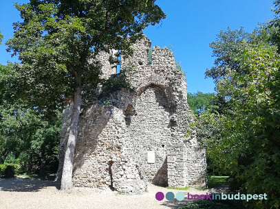 Margitszigeti ferences kolostor, Ferences kolostorrom, Szent Klára templomrom