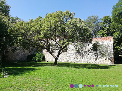 Margitszigeti ferences kolostor, Ferences kolostorrom, Szent Klára templomrom