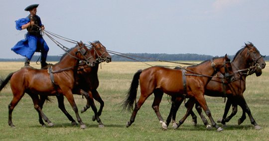 Puszta Tour