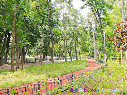 Courir dans le Bois Ville de Budapest