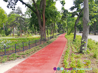 Courir dans le Bois Ville de Budapest