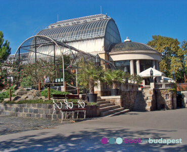 Zoo Budapest - Botanischer Garten, Palmenhaus