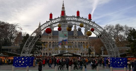 Visita del mercado de Navidad de Viena